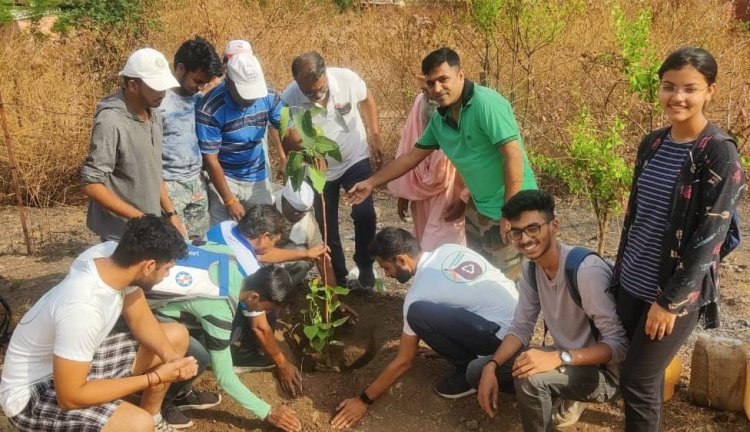 भांगसीमाता गडावर वृक्षलागवड व संवर्धन  नागरिकांना सहभागी होण्याचे आवाहन